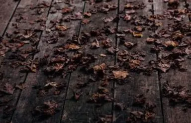 Braune Herbstblätter liegen auf dunklen Holzbrettern auf einer Außenterrasse.