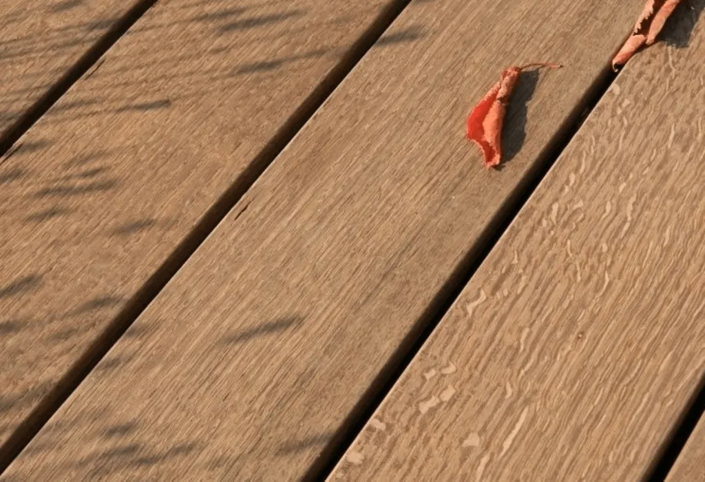 Ein einzelnes trockenes Blatt liegt auf den natürlichen Holzbrettern der Terrasse, auf denen weiche Schatten zu sehen sind.