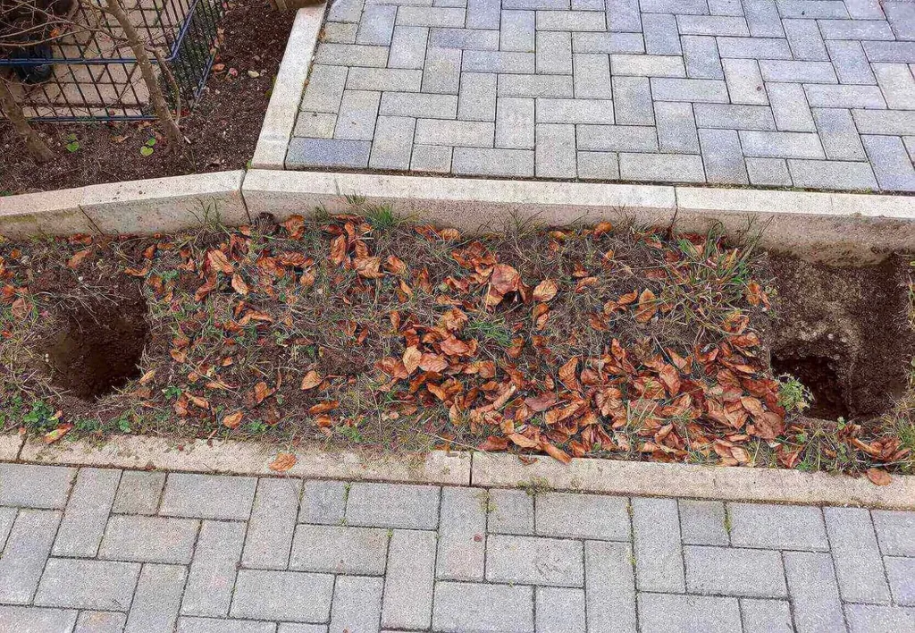Ein Gartenbeet mit verstreuten trockenen Blättern, zwei Löchern und einem Holzzaun aus grauen Pflastersteinen.
