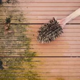 Eine Hand schrubbt mit einer Bürste den Schimmel von den Terrassendielen und legt das saubere Holz frei.