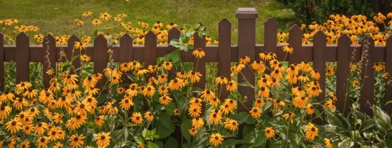 Gelbe Blumen, die neben einem braunen Holzzaun im Freien wachsen.