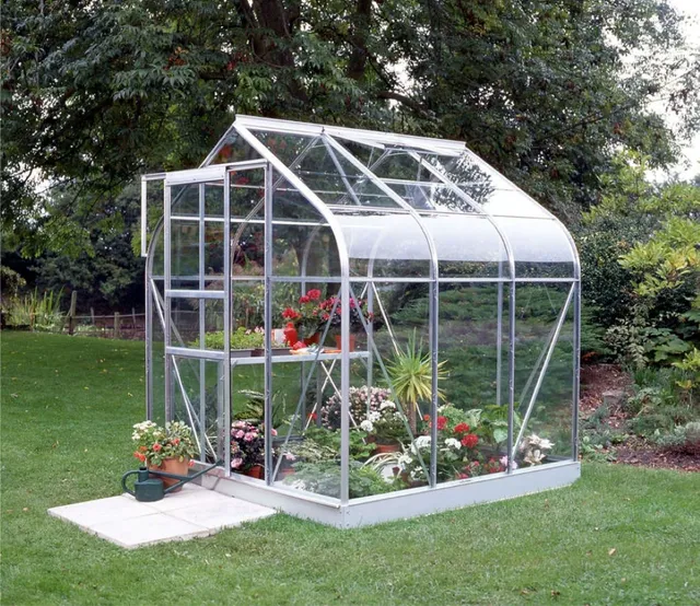 Kleines Glas-Gewächshaus im Garten mit Pflanzen, grünem Rasen und Bäumen außen herum.