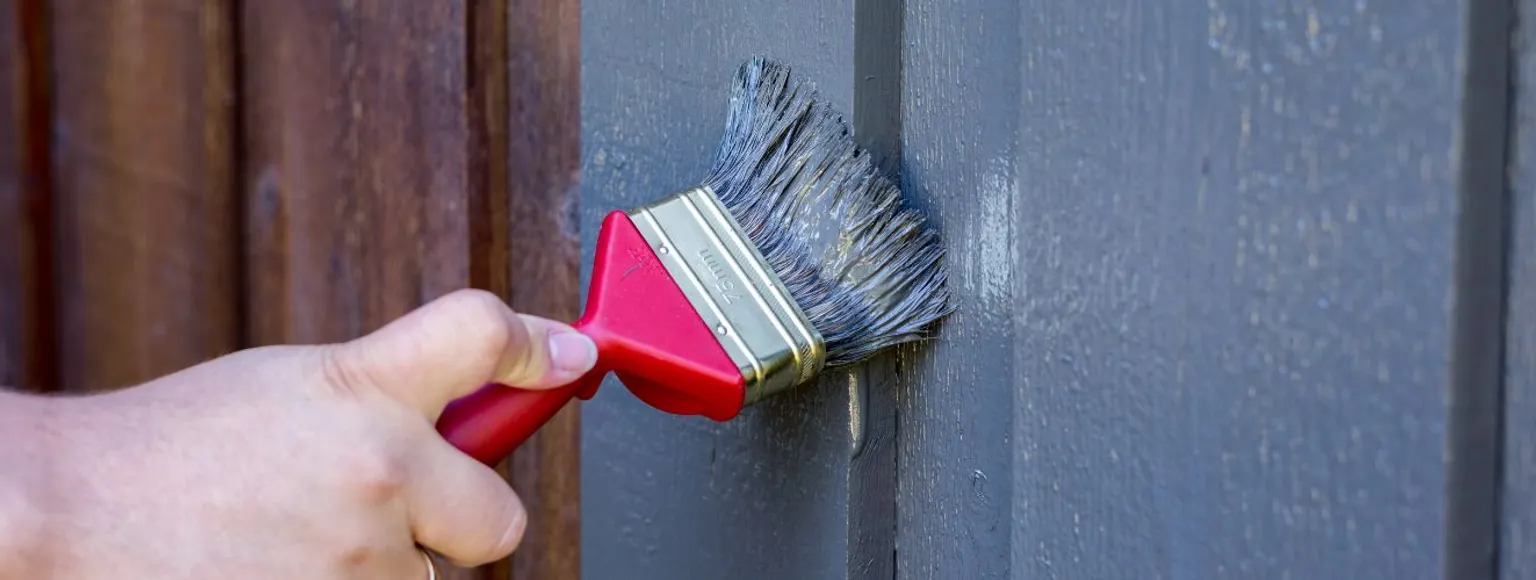 Person, die mit einem roten Pinsel Beize auf eine helle Holzoberfläche in einem Gartenhaus aufträgt.