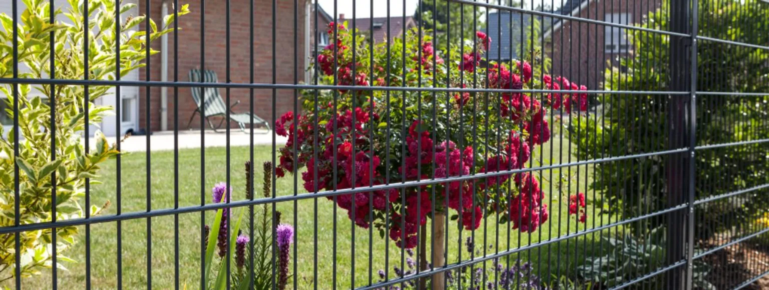 Rote Blumen und grüne Pflanzen wachsen hinter einem Doppelstabmattenzaun aus Metall in einem Garten.