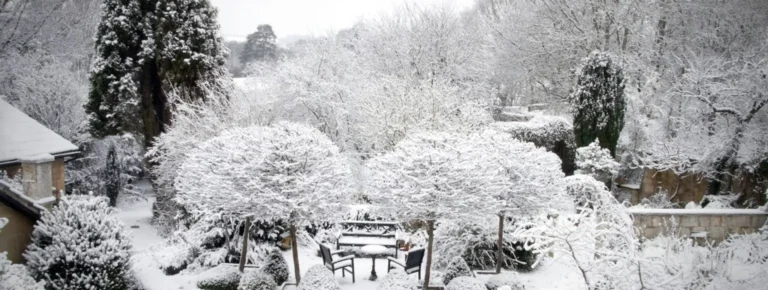 Schneebedeckte Gartenterrasse mit Bäumen, Bänken und weißem Boden im Winter.