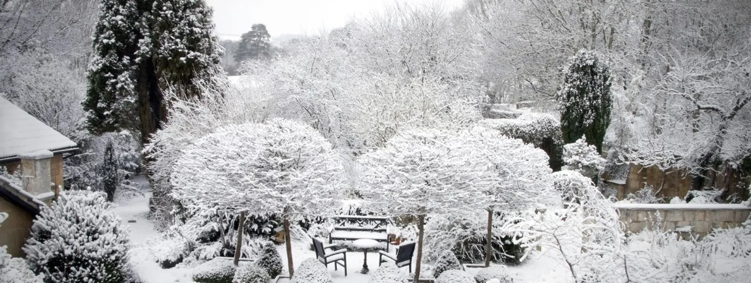 Schneebedeckte Gartenterrasse mit Bäumen, Bänken und weißem Boden im Winter.