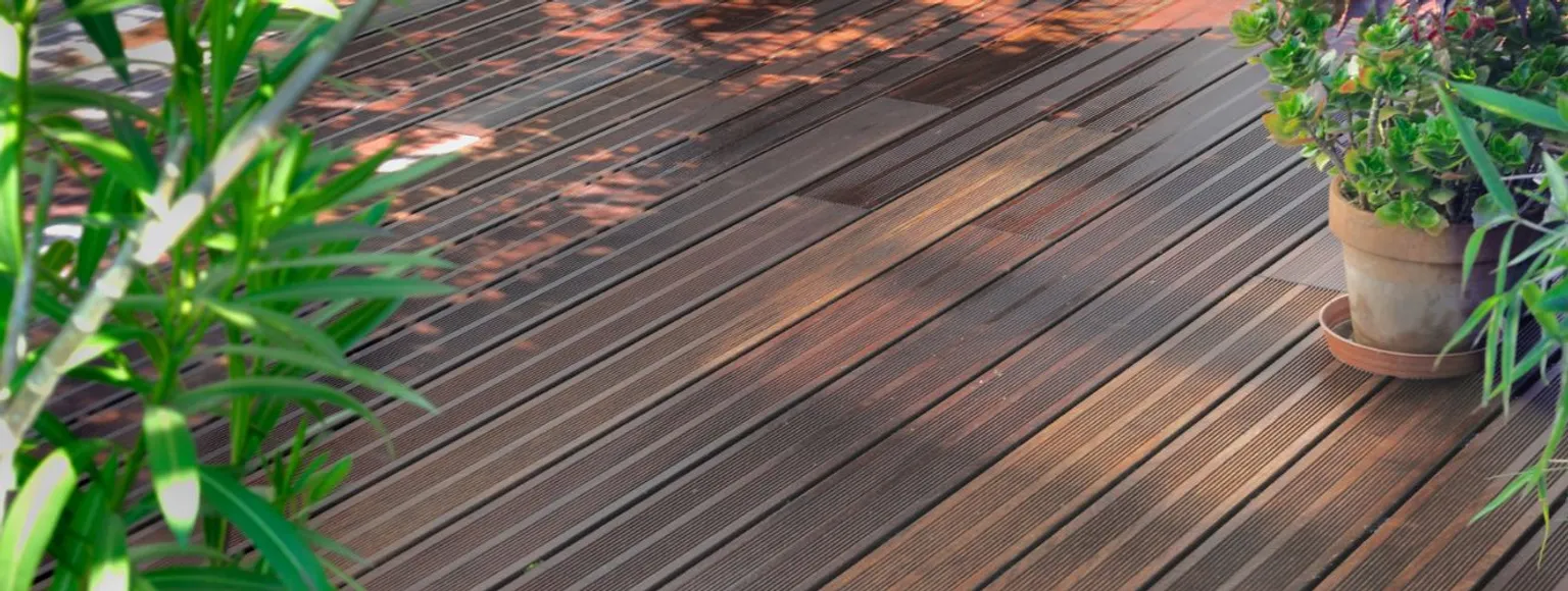 Thermoholz-Terrasse mit sichtbarem Sonnenlicht, Schatten und mehreren grünen Topfpflanzen im Freien.