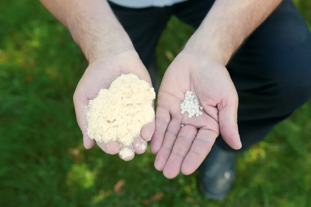 Zwei Hände halten pulverförmigen und pelletierten Dünger nebeneinander, der Hintergrund ist neutral.