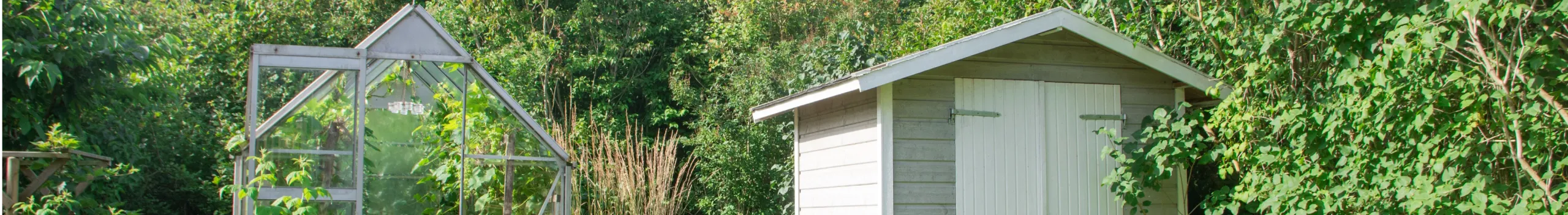 Ein Gewächshaus und ein Gartenhaus mit Grünpflanzen und Bäumen in der Umgebung.