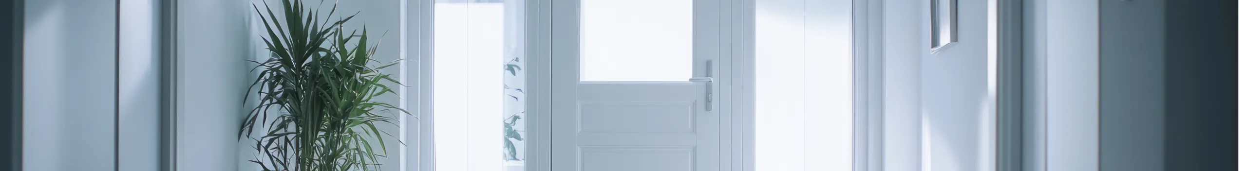 Heller weißer Flur mit natürlichem Licht, Topfpflanze neben der geschlossenen Tür und Bodenfliesen.