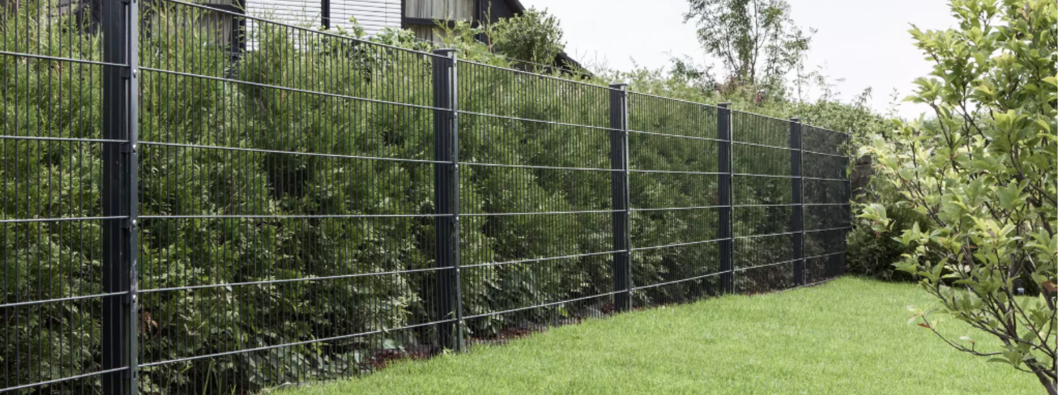 Ein Doppelstabmattenzaun steht als Begrenzung vor einer Hecke.