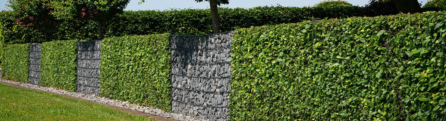 Großer Gabionenzaun mit Steinen und Blättern