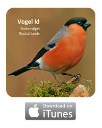 Vogel ID